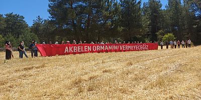 CHP: Türkiye Ormanları Yok Ediliyor 
