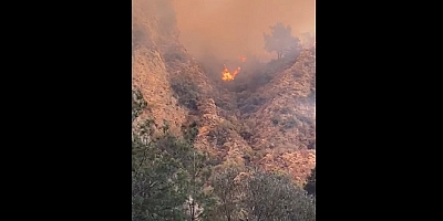 Datça’da, Orman Yangını