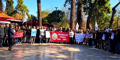  Emeklilerden, “Duyun bizi, Geçinemiyoruz,” Açıklaması