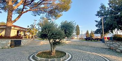 Esentepe'deki Zeytinden, Akbelen'e Mesaj