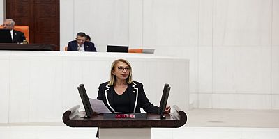 ETKİ AJANLIĞI