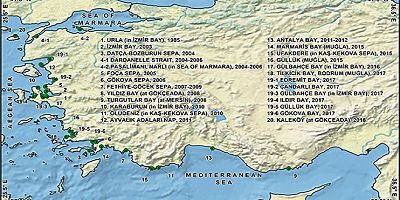 Güllük Körfezindeki Oksijen Kaynağı Deniz Çayırları Tehlikede?