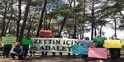 İkizköy Çevre Komitesinden, Zeytin Torba Yasa Teklifine Karşı Açıklama