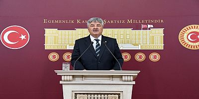 İYİ Parti Muğla Milletvekili Ergun'dan Arıcılarla İlgili Şeker Soru Önergesi