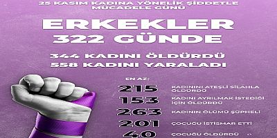 erkek şiddeti
