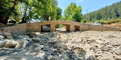 SUÇIKAN
