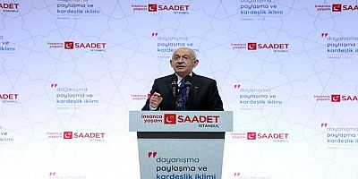 Siyasi Mizah: Keşke Basmasaydın