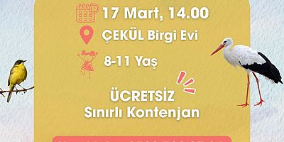 Kuşların Gizli Evleri