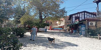 KUZEY EGE GEZİ NOTLARI (7/3)