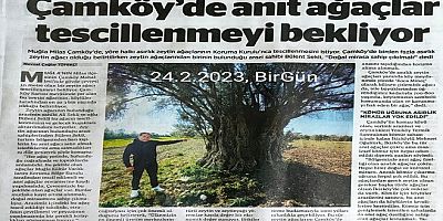 Meclis Komisyonu'ndan geçen enerji ve madencilik düzenlemesi neler getiriyor?