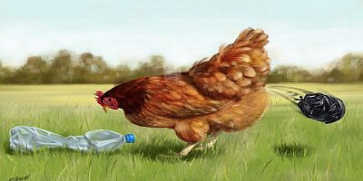 Milas 10. Uluslararası Turhan Selçuk Karikatür Yarışması’nda Dereceye Girenler Açıklandı