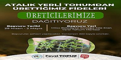 Milas Belediyesi Ata Tohumlarını Yaşatmak İçin, Sebze Fidesi Dağıtımı Gerçekleştirecek