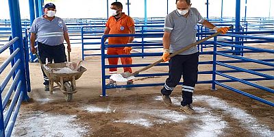 Milas Belediyesi Hayvan Pazarında Kireçleme Çalışması Gerçekleştirdi