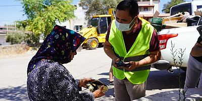 milas belediyesi yara sarıyor