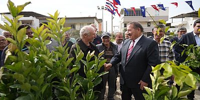 Milas Belediyesinden, Üreticilere Fidan Desteği