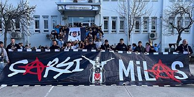 Milas Çarşı Grubundan, Örnek Çalışmalar