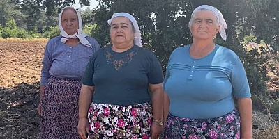 Milas-İkizköylüler’den, Zeytincilik Katliam Yasasına Tepki!