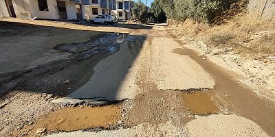 Milas'ın Ova Yolu: Şeftali İrimi Sokağı ve Sorunları
