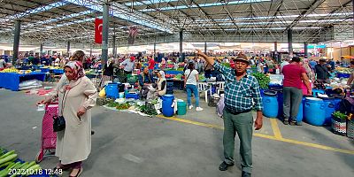 Milas Salı Pazarı: Azalan Çiftçi Katılımı, Kaybolan Çeşitlilik ve Tarım Organize Sanayi Bölgesi Gölgesinde Tekelleşme Eğilimleri Üzerine Bir Değerlendirme