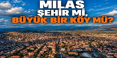 MİLAS ŞEHİR Mİ YOKSA BÜYÜK BİR KÖY MÜ?