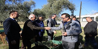 Memecik türü zeytin diyarında, memecik fidanları dağıtıldı!..
