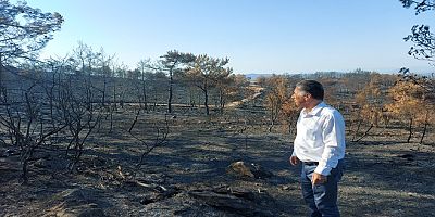 Milletvekili Özcan’dan Orman Yangınları İle İlgili Soru Önergesi