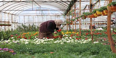 Muğla’da Üretici Kadınlar Meclisi Kuruluyor