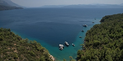 Muğla’nın Doğası İçin 288 Hukuki Mücadele
