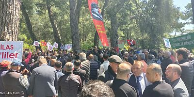 Nejla ışık: Biz Göçmen Kuşu muyuz, Oradan Oraya Sürülecek?