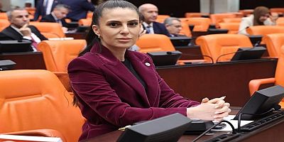 Özcan, Bozburun için Datça’daki 4 kıyı için verilen emsal kararı işaret etti