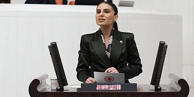 Özcan yangın sezonu öncesi uyardı;  “Enerji nakil hatlarının bakımı acilen yapılmalı”