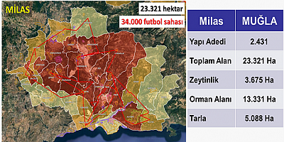 Tartışma büyüdü: Muğla'yı ayağa kaldıran rapor