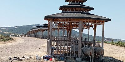 TRAKYA GEZİ NOTLARI (7)