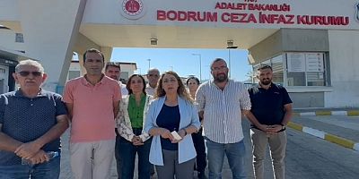 Tutuklularla görüşen DEM Partili Aydeniz: Tarafsız sağlık raporları verilmeli