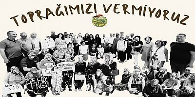 Zeytin Kıyım Yasa Teklifi İçin Cumhurbaşkanına Sesleniş!