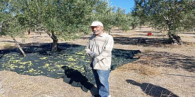 Zeytin ve Zeytin Üreticileri Üzerine (1)