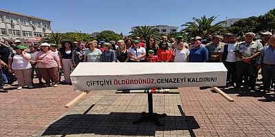 Zeytin Ve Zeytin Üreticileri Üzerine (6)