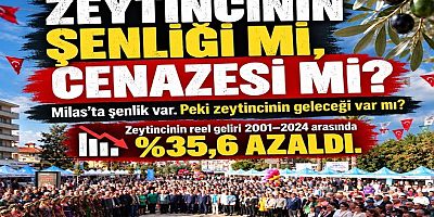 Zeytincinin Şenliği mi yoksa Cenazesi mi?