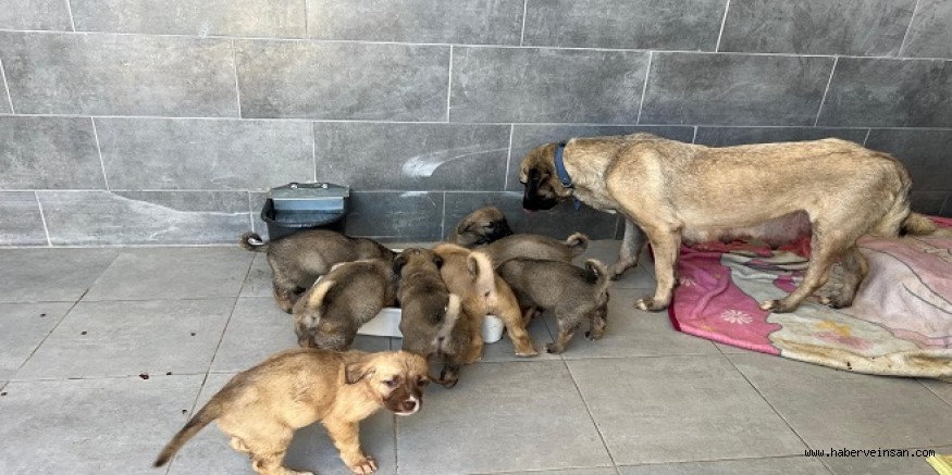 Zamana İhtiyaç Var!