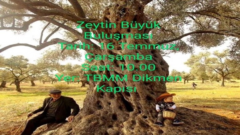 Zeytin İçin Ankara’ya Gidiyor musunuz?